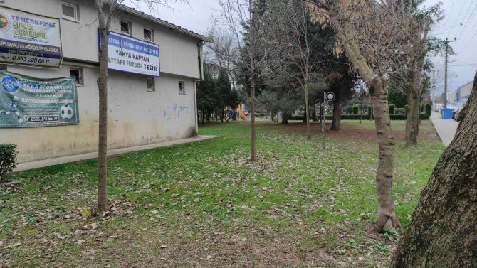 Bu Kez Saldıran Köpek Değil, Vatandaş Oldu