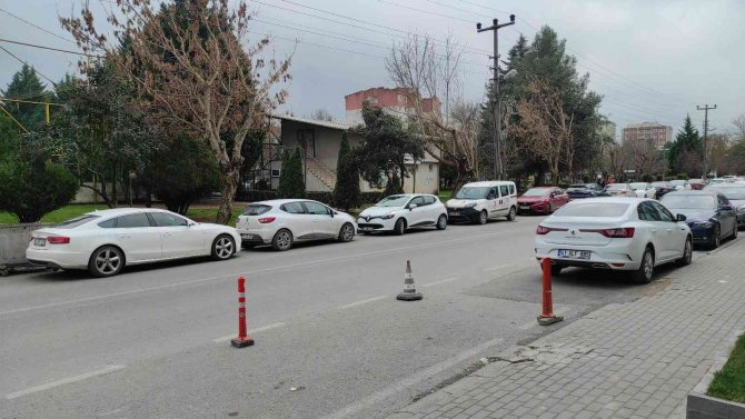 Bu Kez Saldıran Köpek Değil, Vatandaş Oldu