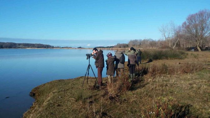 Tarım Ve Orman Bakanlığı Kış Ortası Su Kuşu Sayımını 15 Ocak - 15 Şubat Tarihlerinde Yapacak