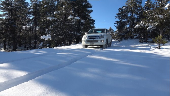 Doğada Yaşayan Hayvanlar Unutulmadı, Yoğun Kar Yağan Bölgelere Yem Bırakıldı