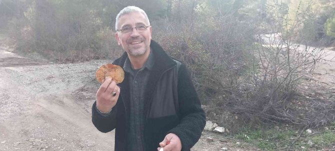 Muğla’da Vatandaşlar Hafta Sonunu Dağlarda Çıntar Mantarı Toplayarak Geçirdi