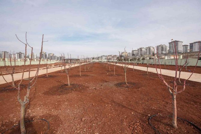 Fadıloğlu: “Agro Park’ta Sona Doğru Yaklaşıyoruz”