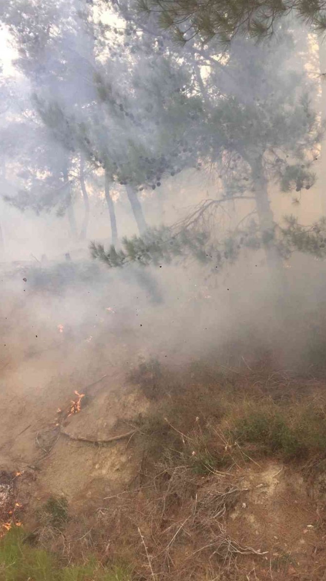 Hatay’da Çıkan Orman Yangını Kontrol Altına Alındı