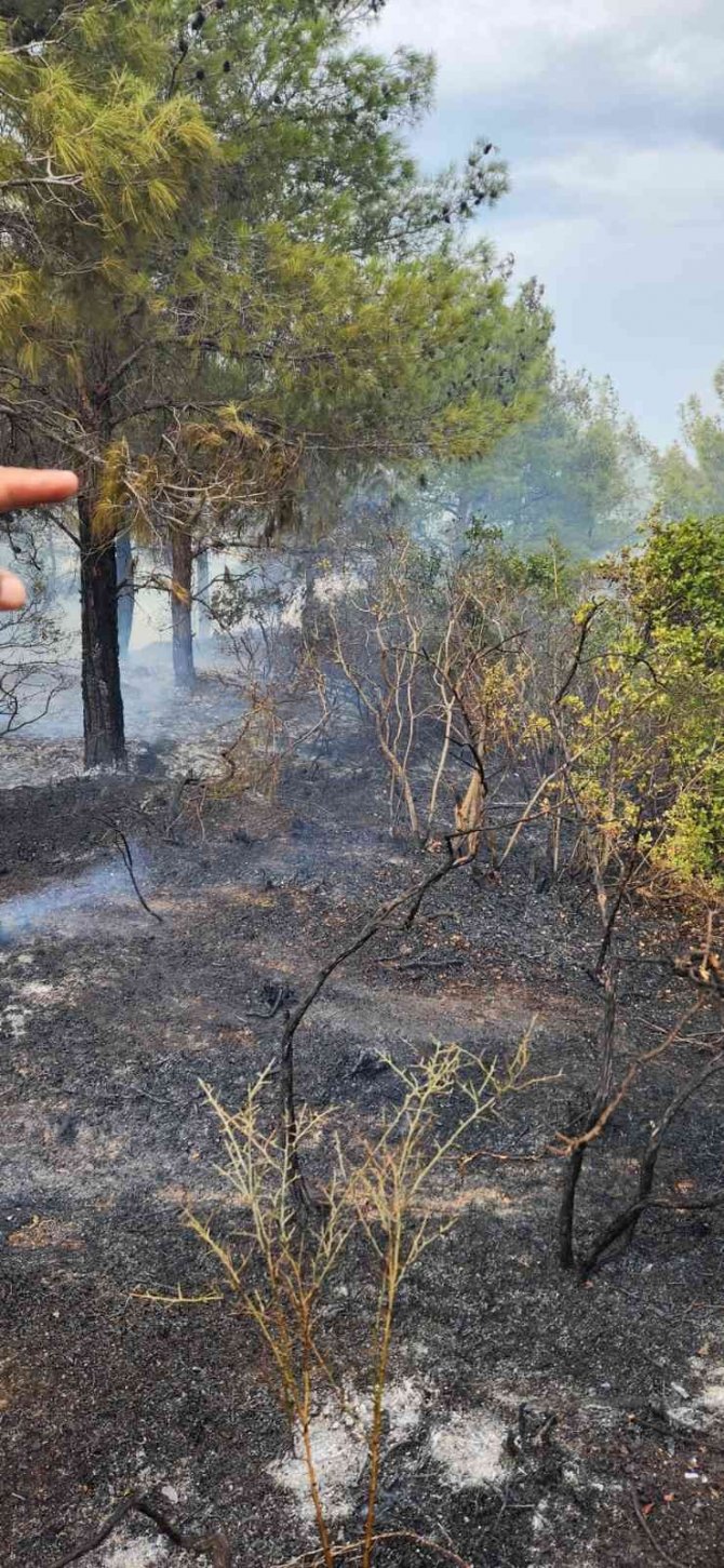 Hatay’da Çıkan Orman Yangını Kontrol Altına Alındı