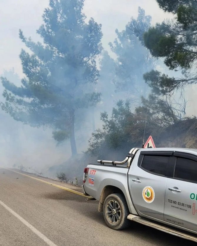 Hatay’da Çıkan Orman Yangını Kontrol Altına Alındı