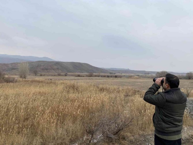 Iğdır’da Av Koruma Faaliyetleri