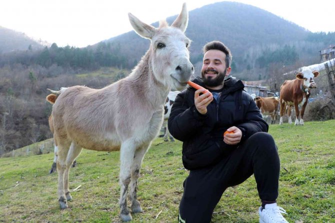 Eşekle Arkadaşlığı Herkesi Kıskandırıyor