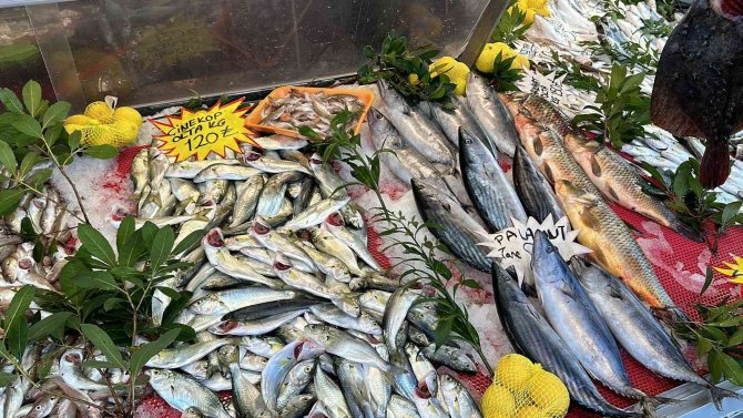 Tezgahın En Ucuzu "Tirsi" Oldu