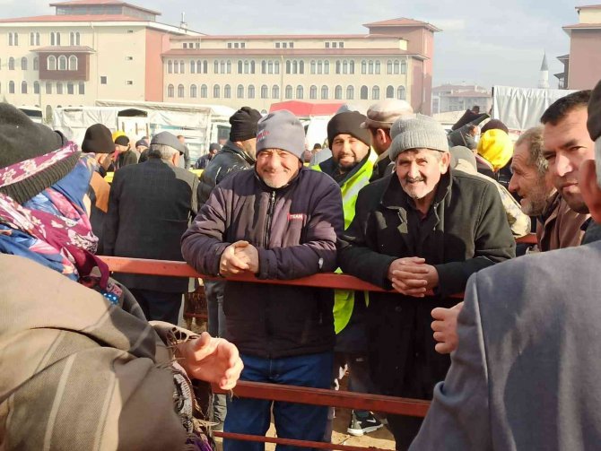 Küçükbaş Hayvan Pazarında Kış Mevsimi Olması Rağmen Alışverişler Hızlandı