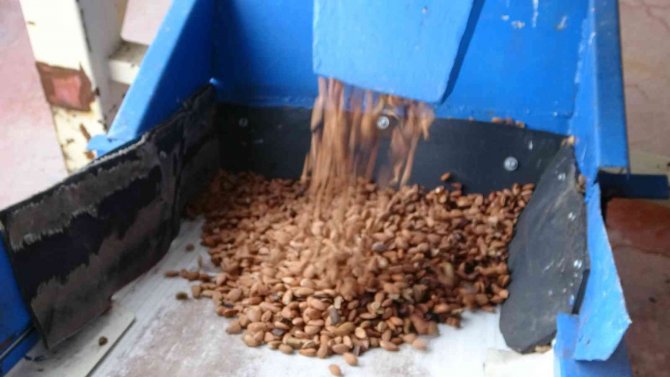 Seyyar Tezgahtan Patronluğa Uzanan Başarı Hikayesi