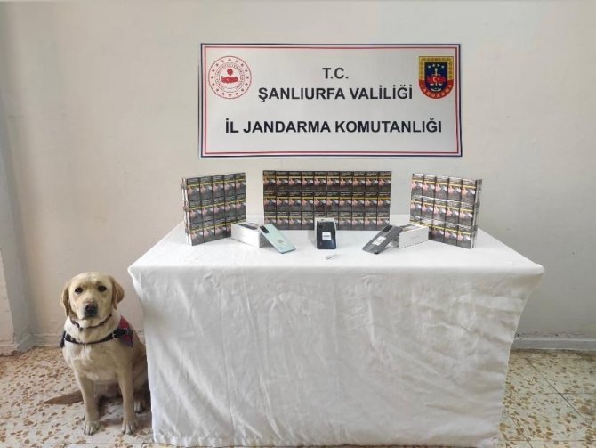 Şanlıurfa’da Şok Yol Uygulaması