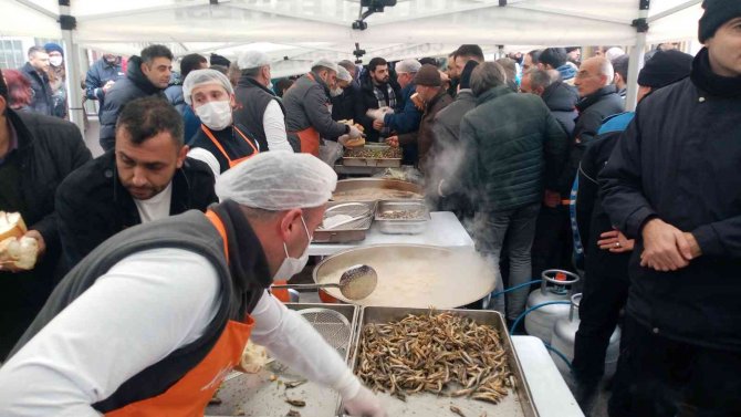 Tonlarca Hamsi Kapış Kapış Dağıtıldı