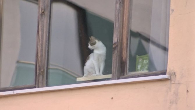 Tuzla’da Apartman Dairesi Küle Döndü