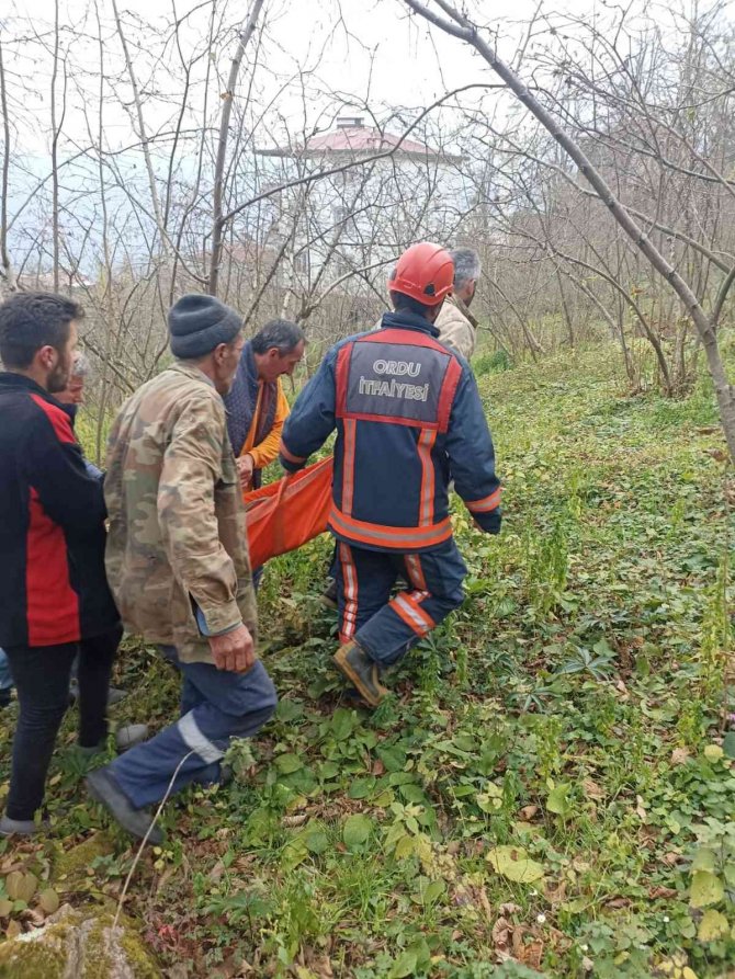 Kestikleri Ağacın Altında Kaldılar