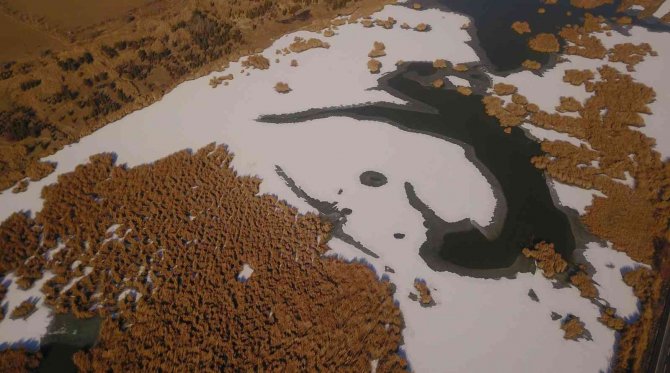 Ahlat’taki Kuş Cenneti Dondu