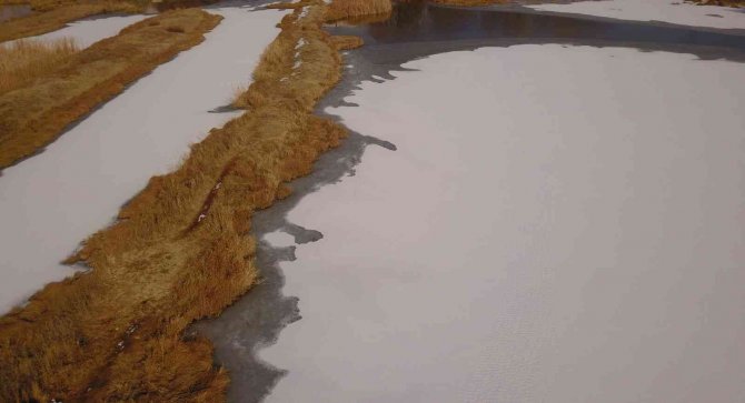 Ahlat’taki Kuş Cenneti Dondu