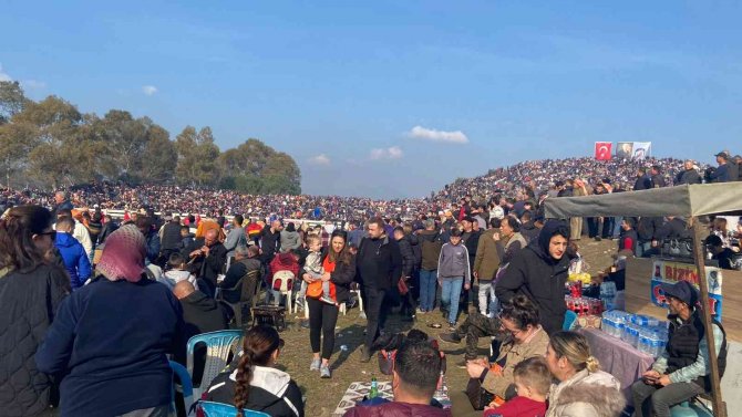 Uluslararası Deve Güreşleri Festivali’nde İlginç Sıkıntı