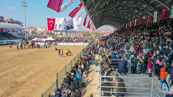 On Binler Deve Güreşi Heyecanını Hep Birlikte Yaşadı