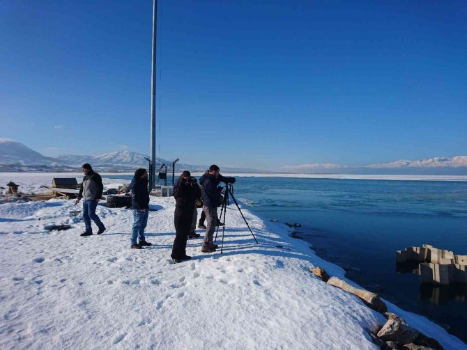 Kış Ortası Su Kuşu Sayımı Çalışmaları Başladı