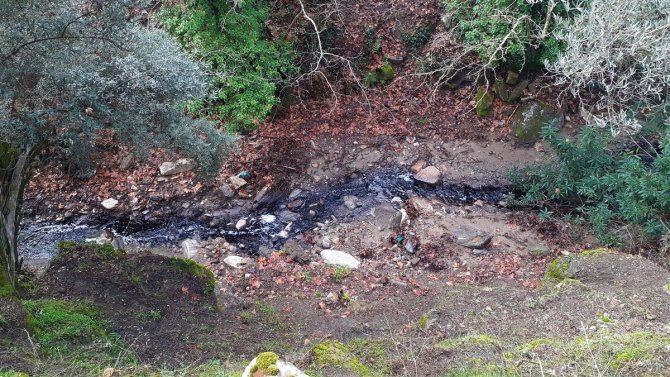 "Aydın’ın Dağlarından Yağ, Derelerinden Kara Sular Akmaya Başladı"