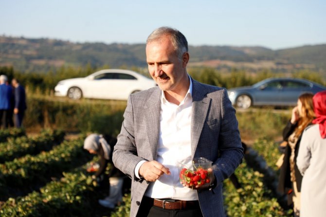 İ̇negöl Tarımı Şahlanıyor