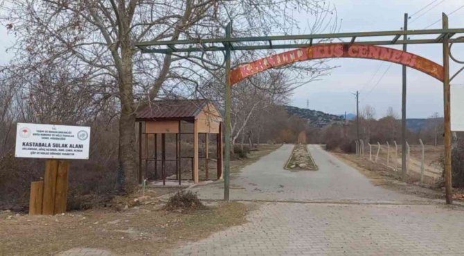 Kuş Cenneti’ndeki Yangında Bazı Hayvanlar Telef Oldu