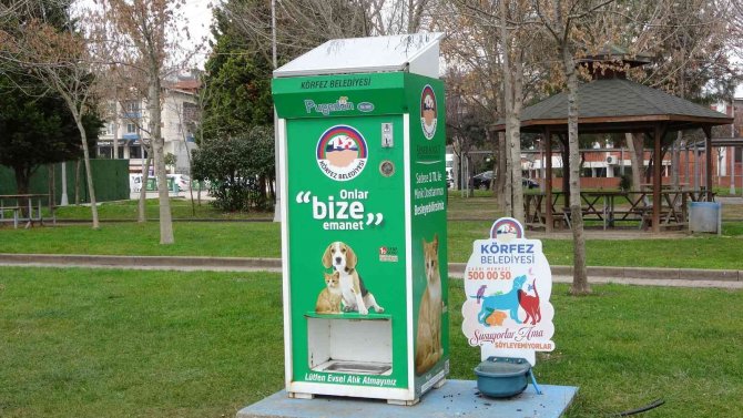 Bu Otomat Sokak Hayvanlarının