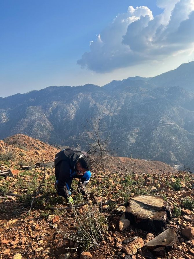 Marmaris’in Zirvelerine Motosikletleri İle Çıkıp Fidan Diktiler