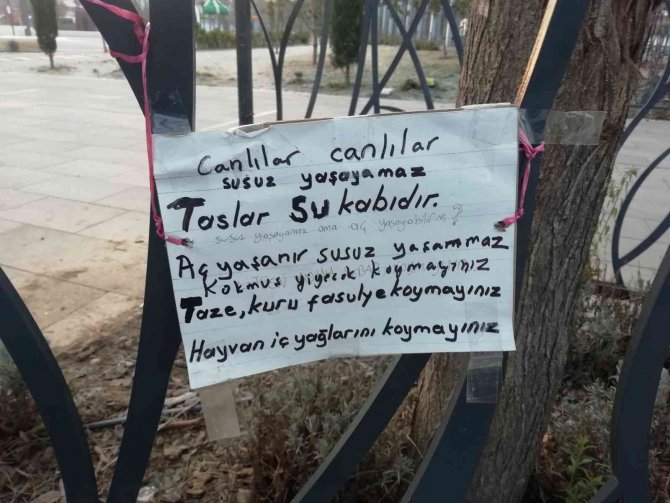 Atık Yemekler Hayvanlara Yarar Değil Zarar Veriyor