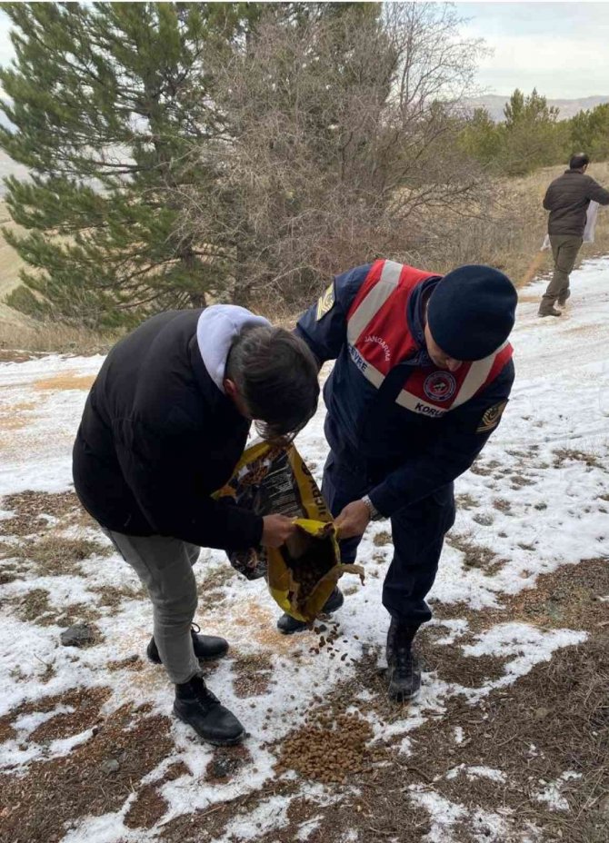 Sivas’ta Yaban Hayatı Unutulmadı
