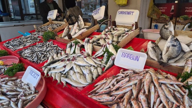 Vatandaşlar Fiyatı Düşen Hamsiye Yöneldi