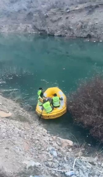 Sular Altında Kalacak Yusufeli’nden Sokak Köpeklerinin Tahliyesi Sürüyor