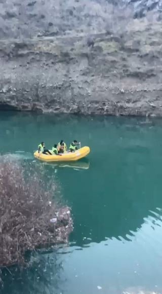 Sular Altında Kalacak Yusufeli’nden Sokak Köpeklerinin Tahliyesi Sürüyor