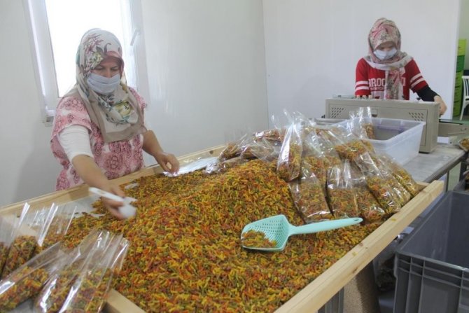 Ata Tohumu Buğday Yetiştirip, Unundan Ürettiği Makarnalar İle Taleplere Yetişemiyor