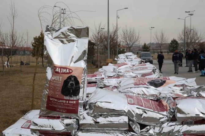 Büyükşehir, 1 Yılda 10 Bin Sokak Hayvanına Sahip Çıktı