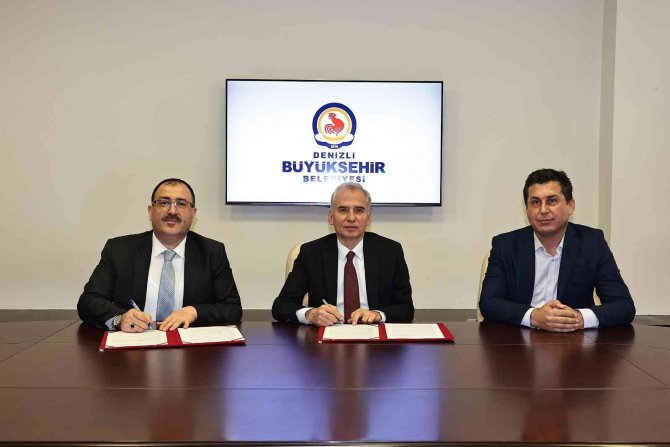 Denizli’de 500 Aileye 1000 Damızlık Koç Ve Teke Dağıtılacak