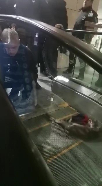 Ayağı Yürüyen Merdivene Sıkışan Kedi Yardım Bekledi