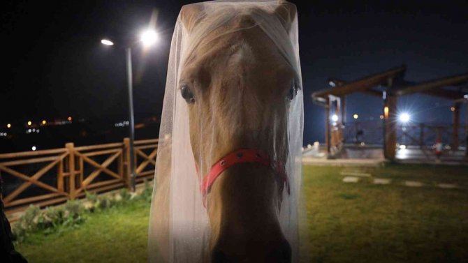 Bu Düğünde Gelin Ve Damat Görenlerin Ağızlarını Açık Bırakıyor