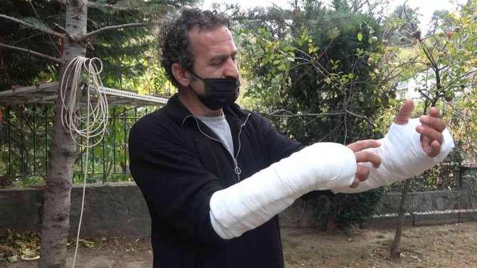 Bursa’da Husumetlisine Pitbull Köpekle Saldıran Baba-oğula Hapis Cezası İstendi
