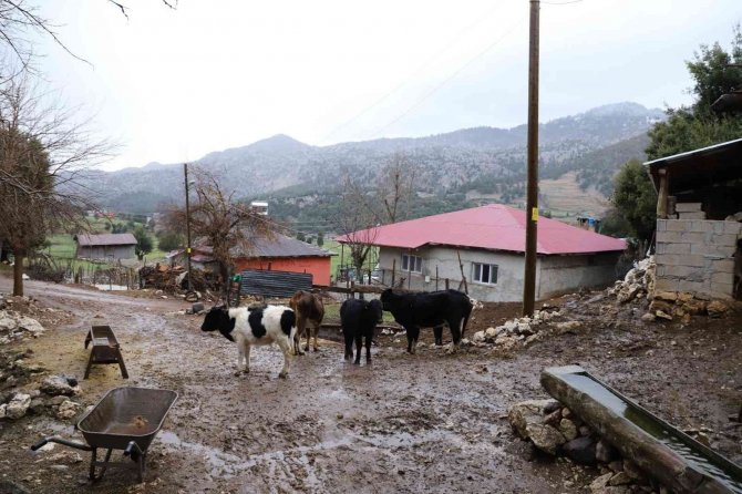 İ̇ki Kırsal Mahalledeki Kuduz Karantinası Sürüyor