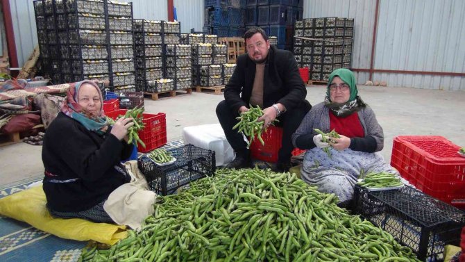 Mersin’den Irak’a Bakla İhracatı