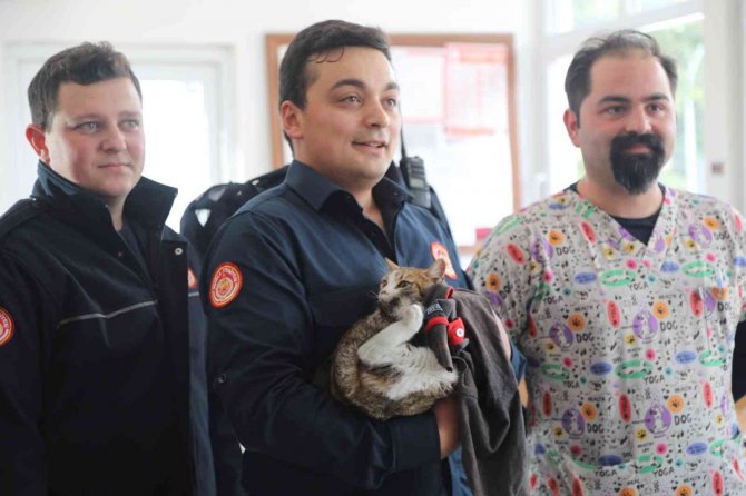 İ̇tfaiye Ekipleri Kurtardıkları Kediyi Sahiplendi