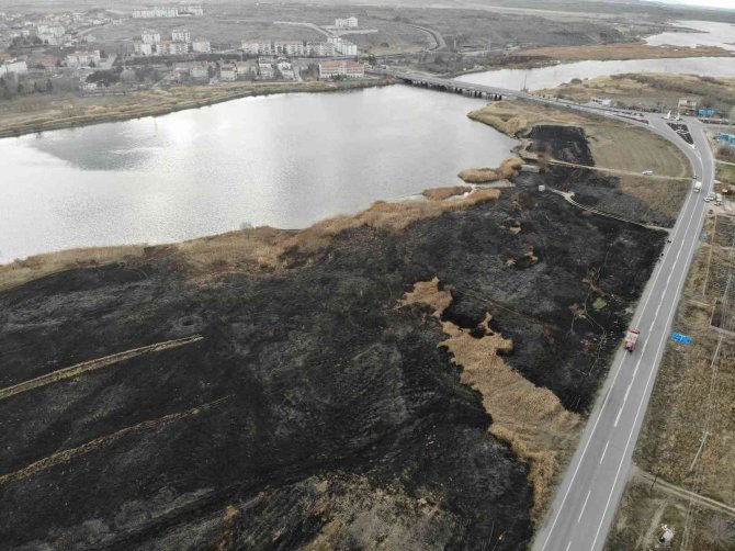 Isınmak İçin Yaktığı Ateş 45 Dekar Alanı Kül Etti