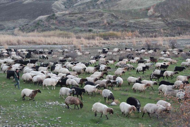Kuraklık Baş Gösterdi, Çiftçilere Yağmur Duasına Çıkın Çağrısı