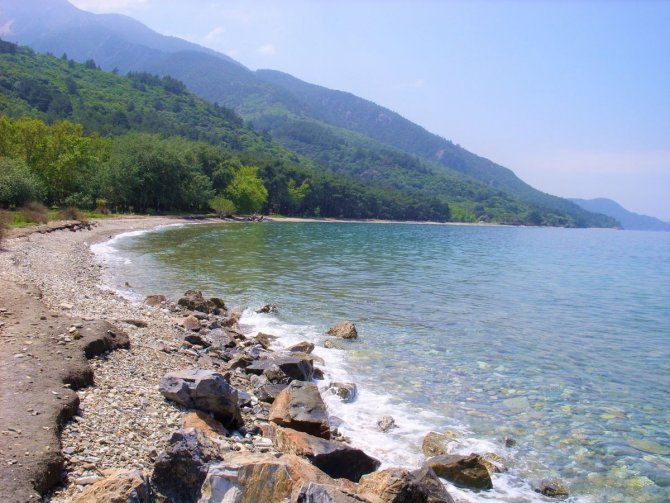 Milli Park Davasında Verilen Karara Doğaseverleri Mutlu Etti