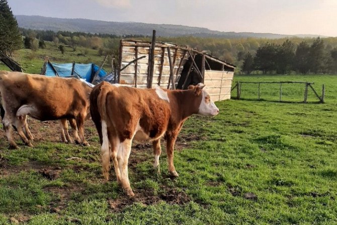 Bolu’da 70 Aileye 4 Milyon 600 Bin Tl Destek Kredisi Verildi