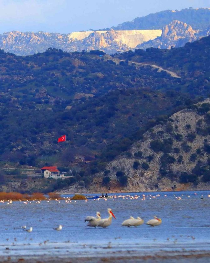 Bafa Gölü’nün Balerinleri, Görsel Şölen Oluşturdu