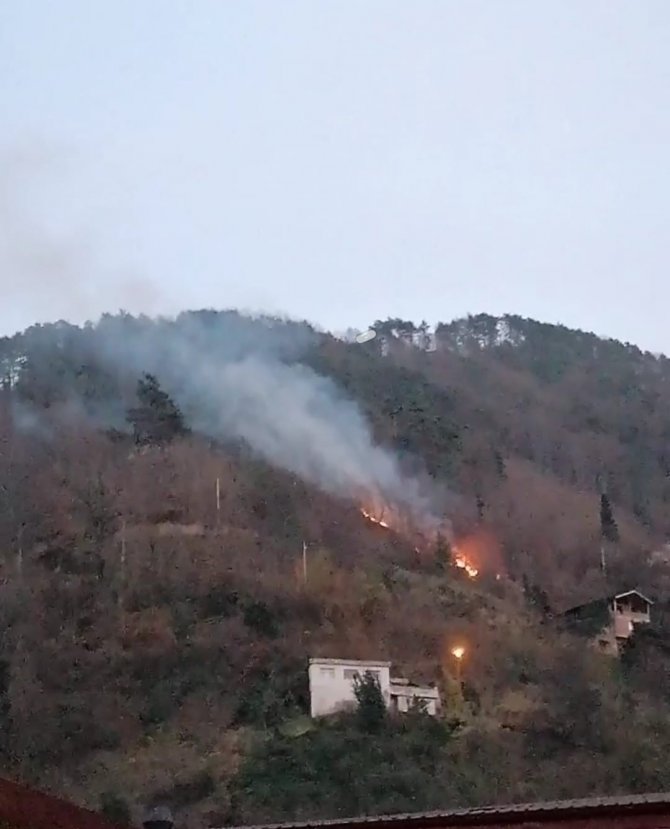Ocak Ayı Kurak Geçiyor, Uzmanlar Örtü Yangını İçin Uyarıyor