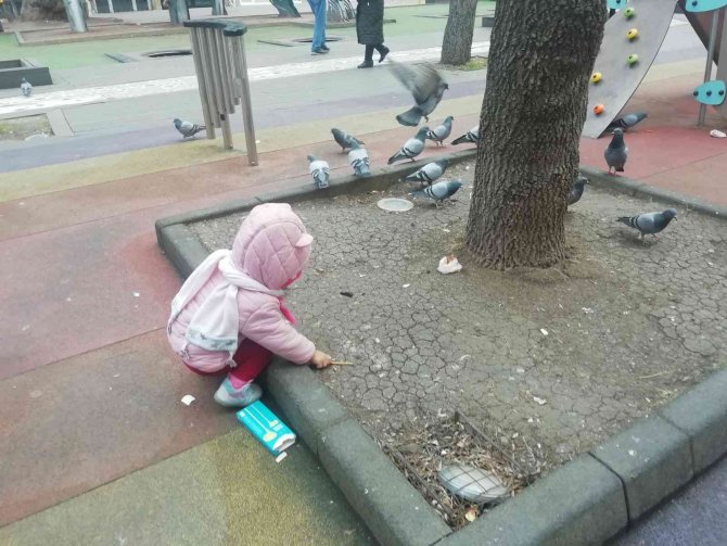 Elindeki Krakeri Güvercinlerle Paylaştı