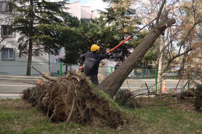 Bursa’da Şiddetli Lodosun Etkisi Sürüyor